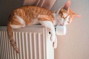 Do Residential Boilers Actually Boil?